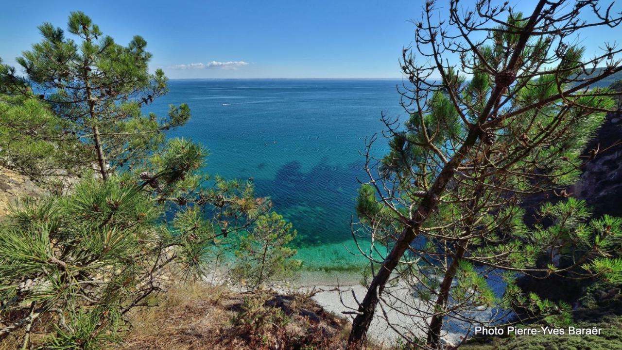 Le Dixmude, Appartement Proche Plage De Morgat Crozon Exterior foto